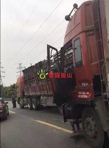 大货车爆料视频,爆料视频背后的辛酸与挑战