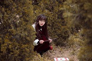 森林秘密在线观看,揭秘神秘森林的奇幻之旅