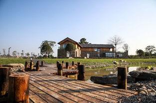 卓尔最新爆料桃花驿,桃花驿神秘面纱背后的传奇故事 第2张 卓尔最新爆料桃花驿,桃花驿神秘面纱背后的传奇故事 第2张